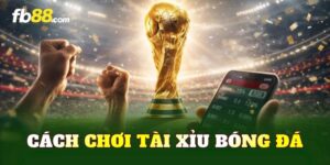Cách Chơi Tài Xỉu Bóng Đá