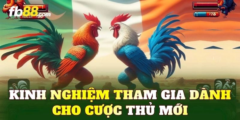 Kinh nghiệm tham gia dành cho cược thủ mới