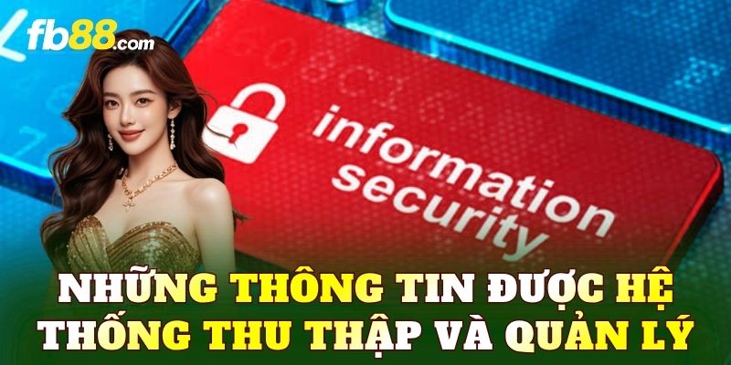 Những thông tin được hệ thống thu thập và quản lý