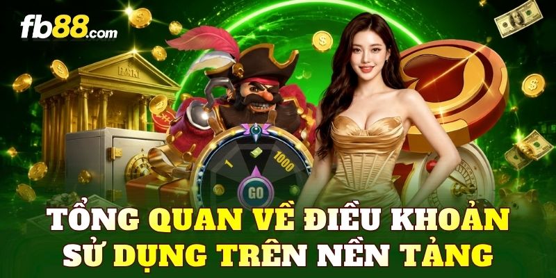 Tổng quan về điều khoản sử dụng trên nền tảng